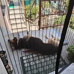 Casa Morena 別荘 *