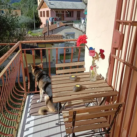 Дом отдыха Casa Morena